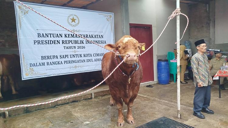 Bantuan Sapi Kurban Presiden dari APBN, Habiburokhman Tegaskan Tak Ada Pelanggaran Hukum