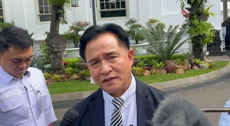 Yusril Tegaskan Pemerintah Tak Pernah Larang Film “Pesta Babi”, Ini Penjelasannya